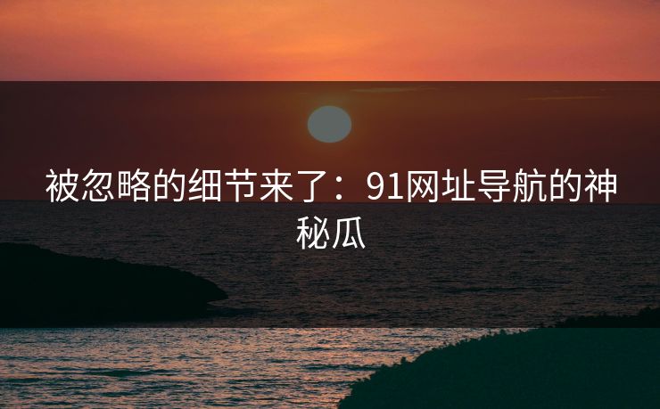 被忽略的细节来了：91网址导航的神秘瓜